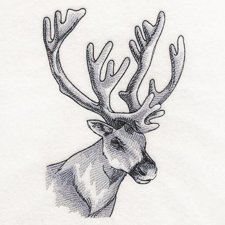 Peeking Reindeer Etching