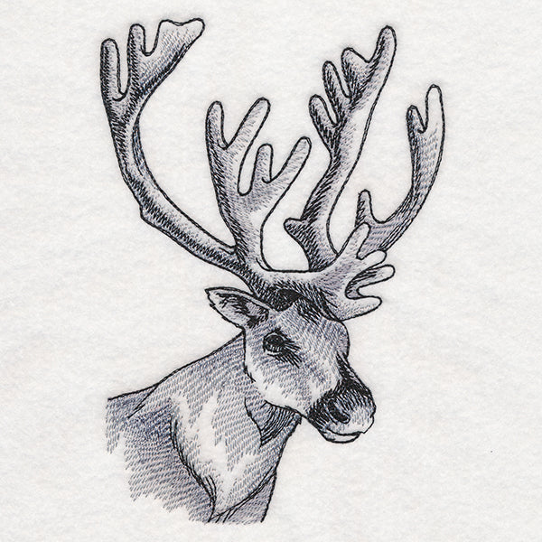 Peeking Reindeer Etching