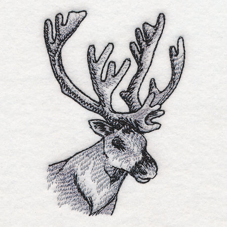 Peeking Reindeer Etching