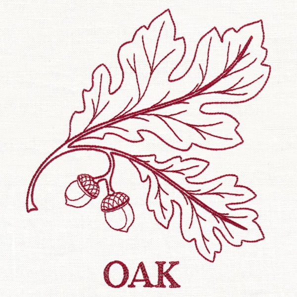 Leafy Botanicals - Oak