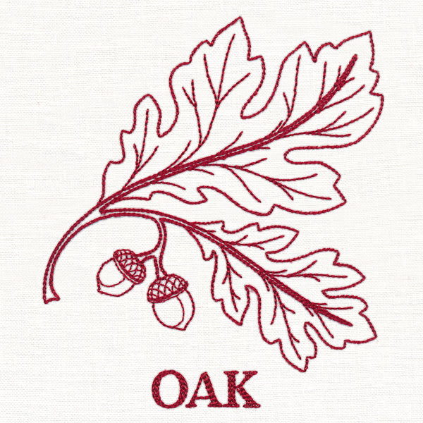 Leafy Botanicals - Oak