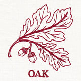 Leafy Botanicals - Oak