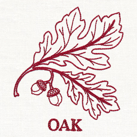Leafy Botanicals - Oak