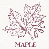 Leafy Botanicals - Maple