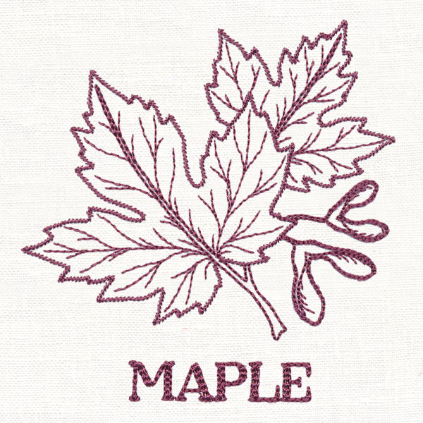 Leafy Botanicals - Maple