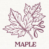 Leafy Botanicals - Maple