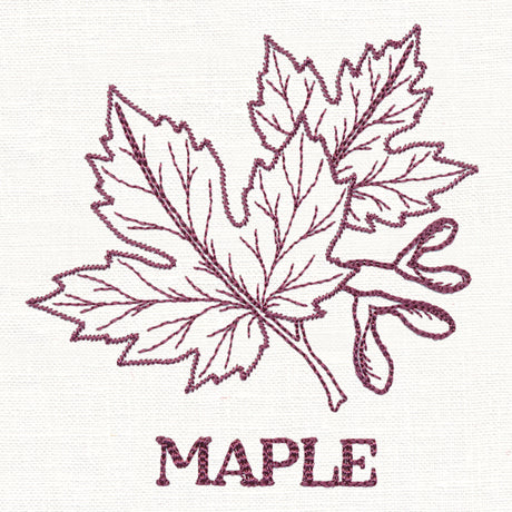 Leafy Botanicals - Maple