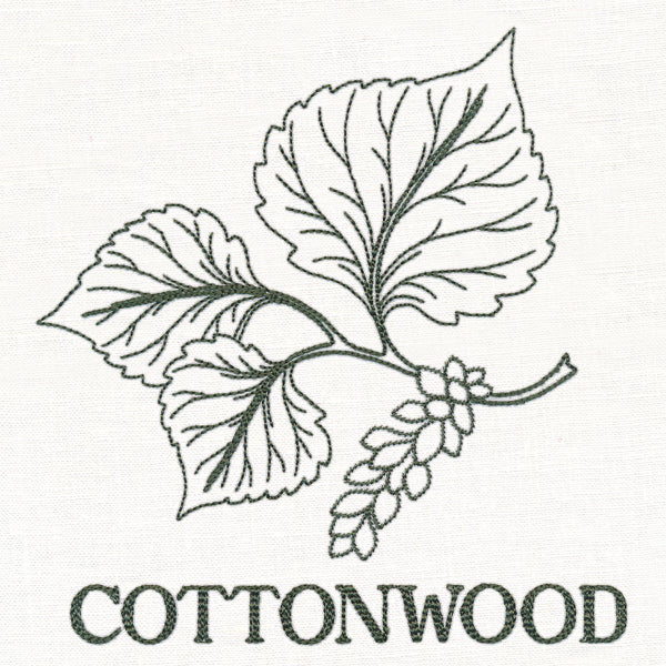 Leafy Botanicals - Cottonwood