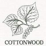 Leafy Botanicals - Cottonwood