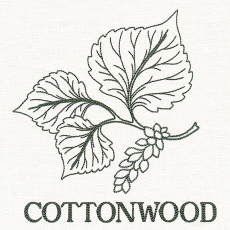 Leafy Botanicals - Cottonwood