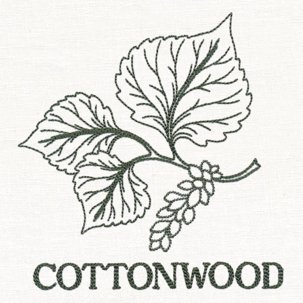 Leafy Botanicals - Cottonwood