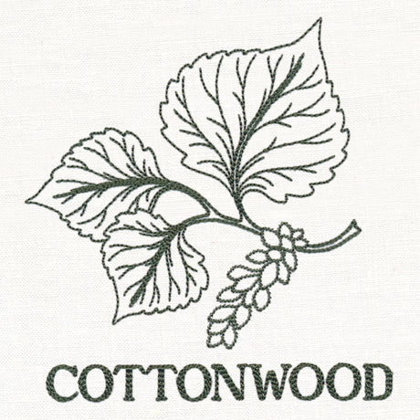 Leafy Botanicals - Cottonwood