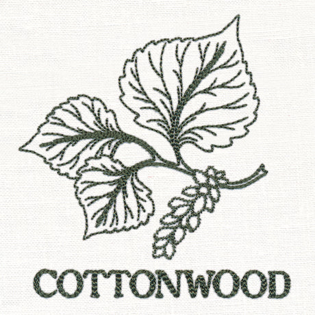 Leafy Botanicals - Cottonwood