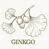 Leafy Botanicals - Ginkgo