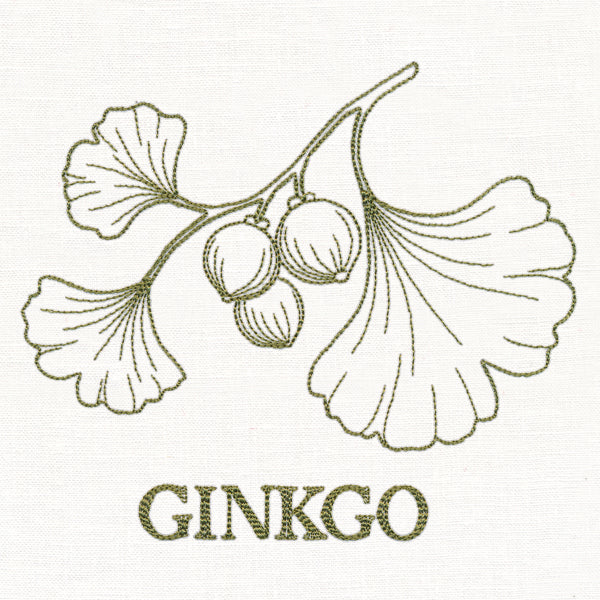 Leafy Botanicals - Ginkgo