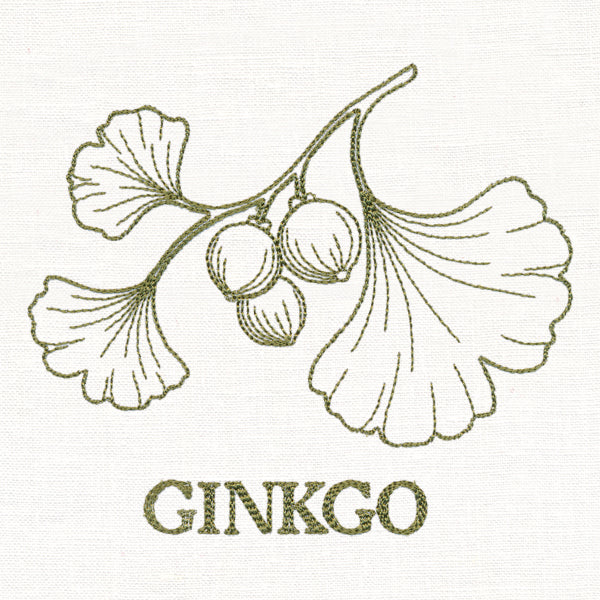 Leafy Botanicals - Ginkgo