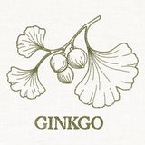 Leafy Botanicals - Ginkgo