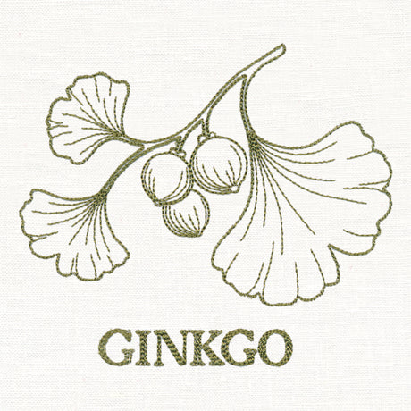 Leafy Botanicals - Ginkgo
