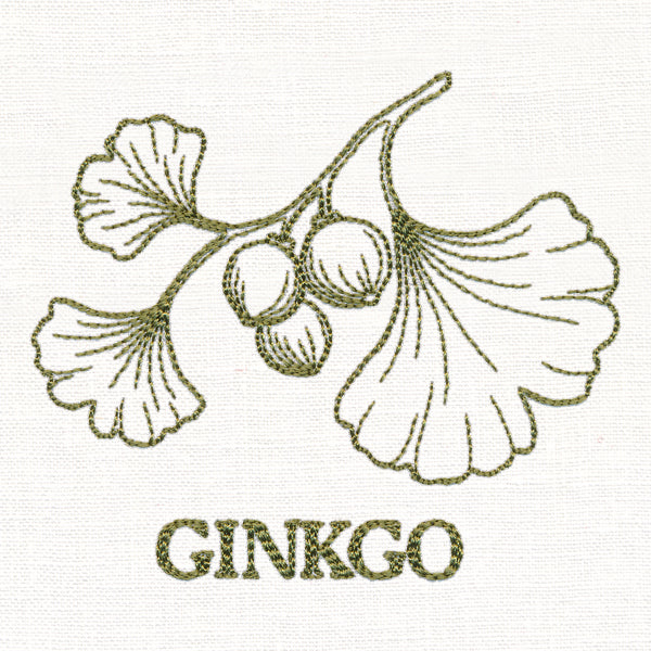 Leafy Botanicals - Ginkgo