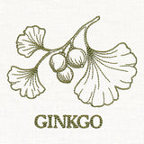 Leafy Botanicals - Ginkgo