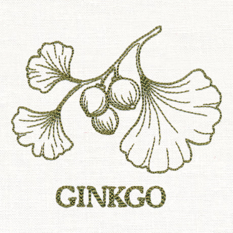 Leafy Botanicals - Ginkgo