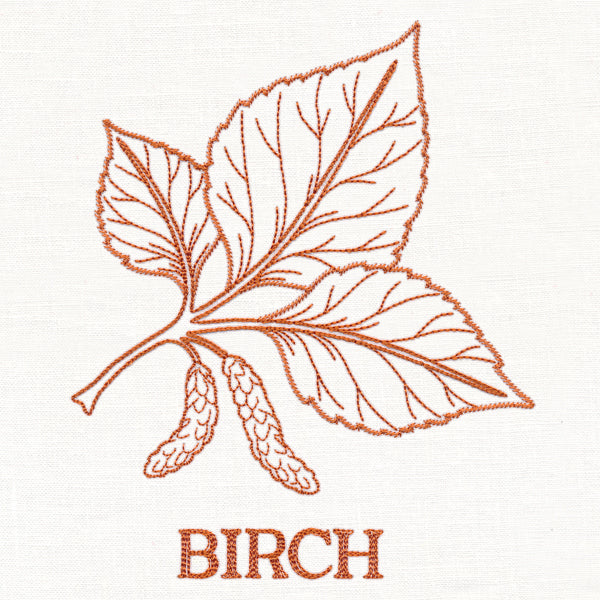 Leafy Botanicals - Birch