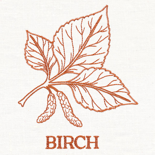 Leafy Botanicals - Birch
