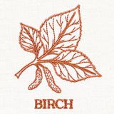 Leafy Botanicals - Birch