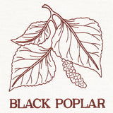 Leafy Botanicals - Black Poplar
