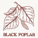 Leafy Botanicals - Black Poplar
