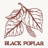 Leafy Botanicals - Black Poplar