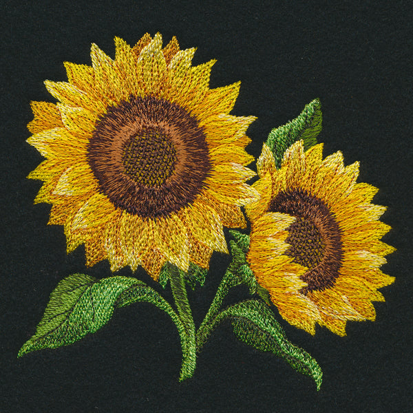 Sunflowers in Bloom