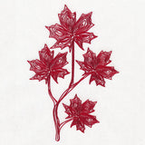 Autumn Extravagance Border