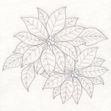 Jolly Poinsettia Etching