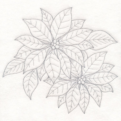 Jolly Poinsettia Etching
