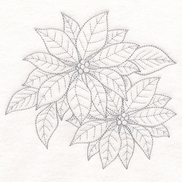 Jolly Poinsettia Etching