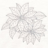 Jolly Poinsettia Etching