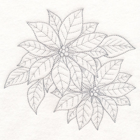 Jolly Poinsettia Etching