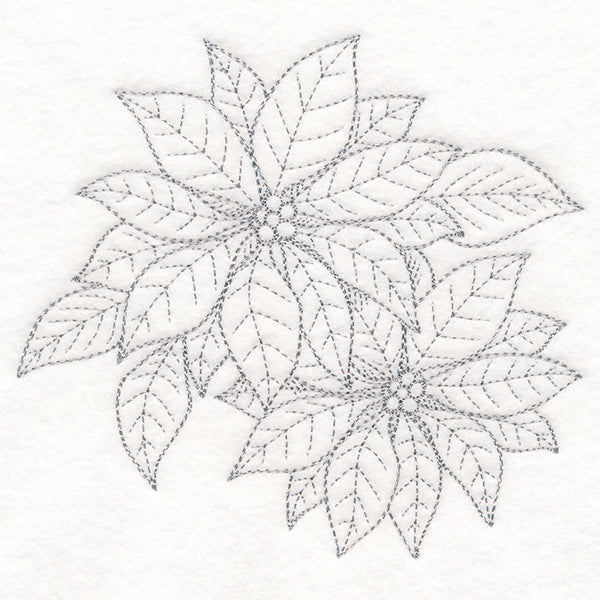 Jolly Poinsettia Etching