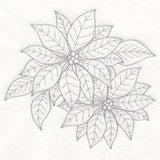 Jolly Poinsettia Etching