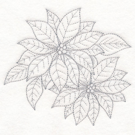 Jolly Poinsettia Etching