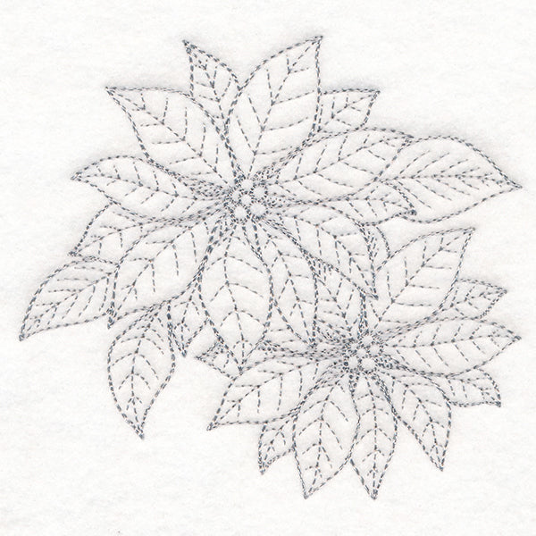 Jolly Poinsettia Etching