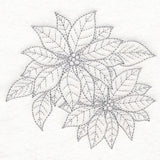 Jolly Poinsettia Etching