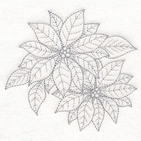 Jolly Poinsettia Etching