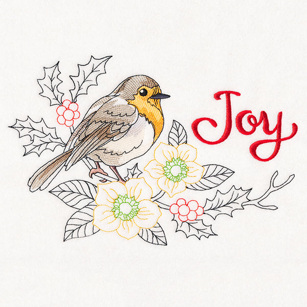 Robin's Joy