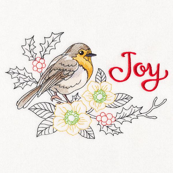 Robin's Joy