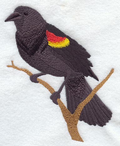 Red Winged Blackbird