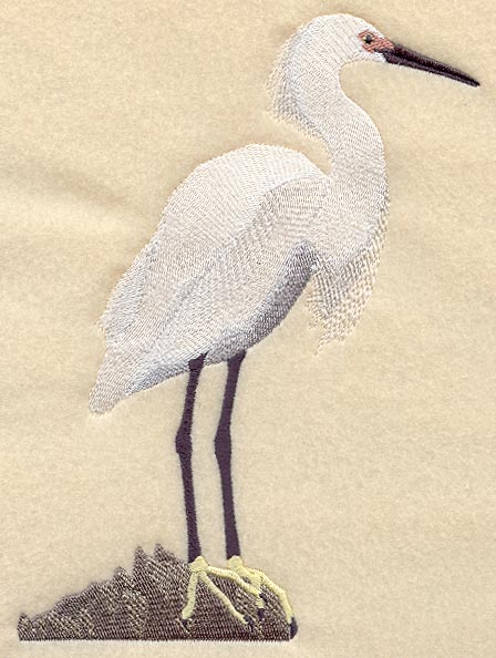 Snowy Egret