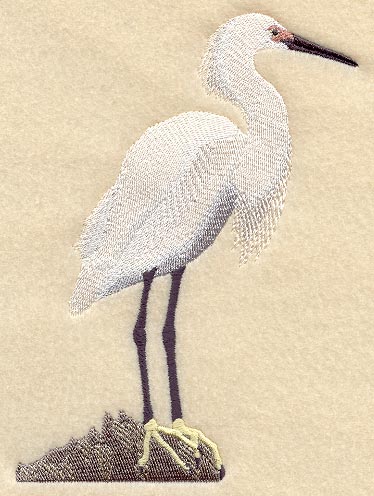 Snowy Egret