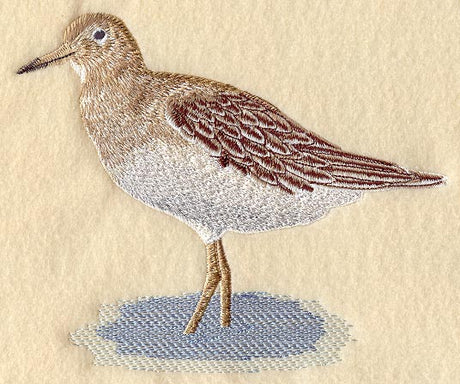 Sandpiper